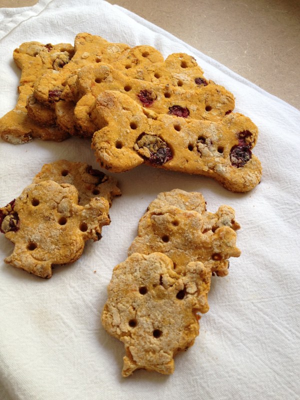 Turkey, Sweet Potato, Cranberry Dog Treats