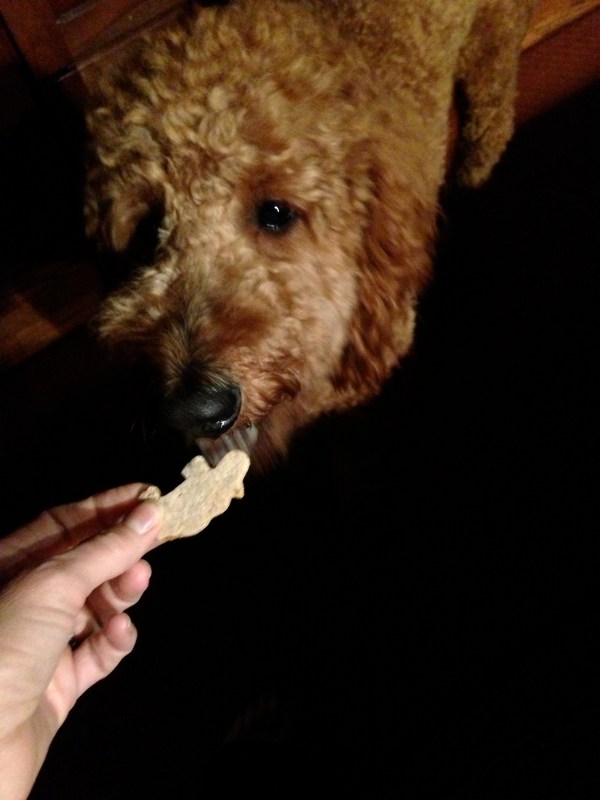 says, "tastes like chicken... and rice."