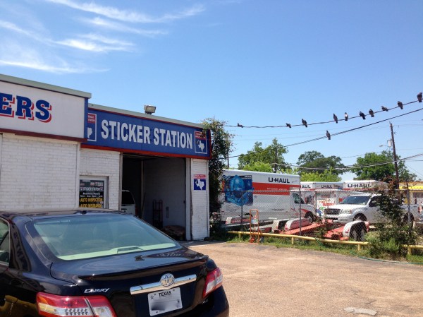 The man who does car inspections has a deal with the pigeons. He feeds them a specific seed, and "they do not poop on my trucks." I LOVED his story!