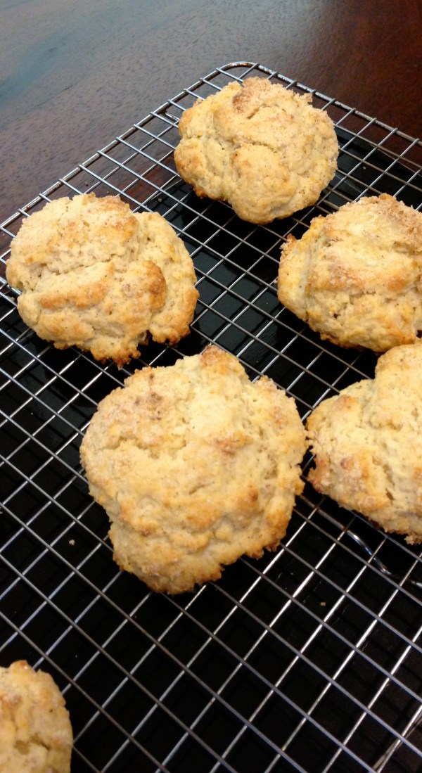 easy scone-y, shortcake-y biscuit-y vehicle for jam